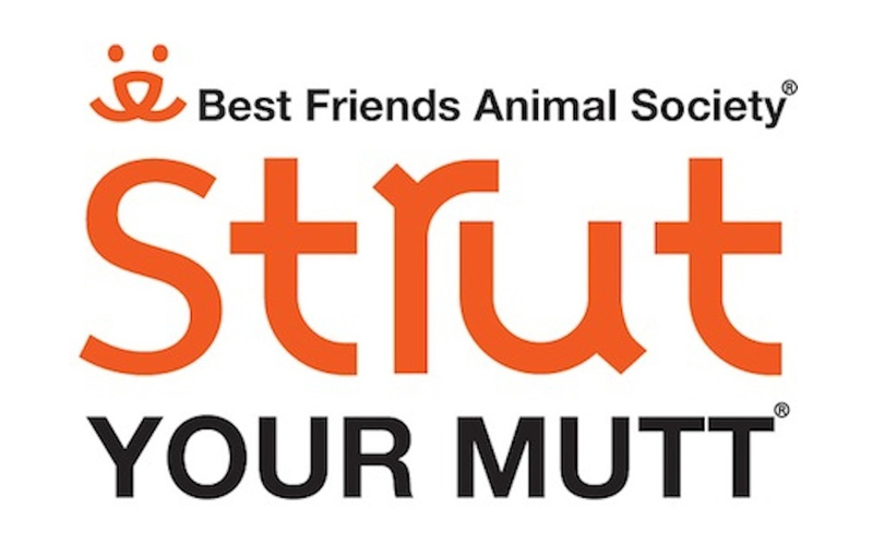 Strut Your Mutt 2018!