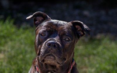 Delilah