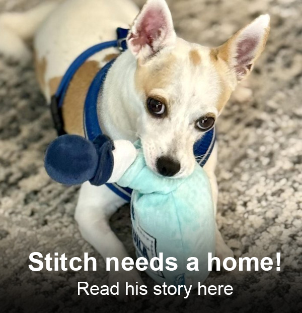 Popup Image