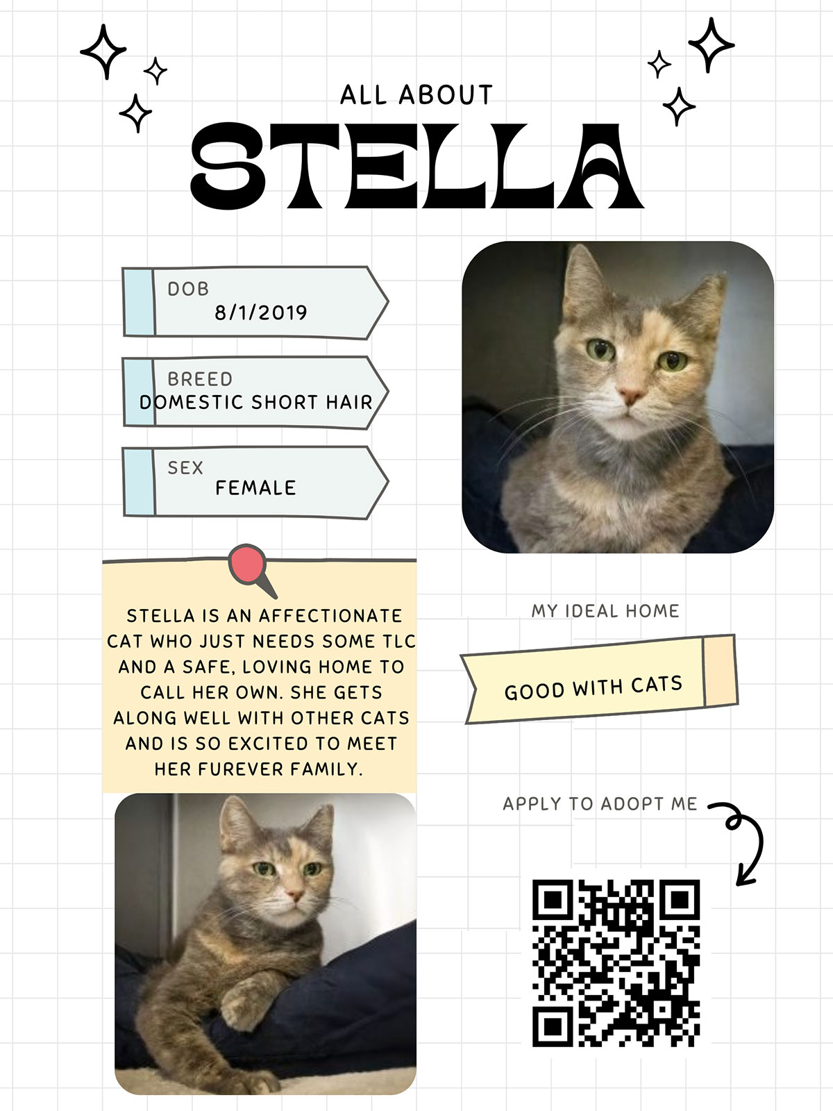 Stella - Cat of the Month
