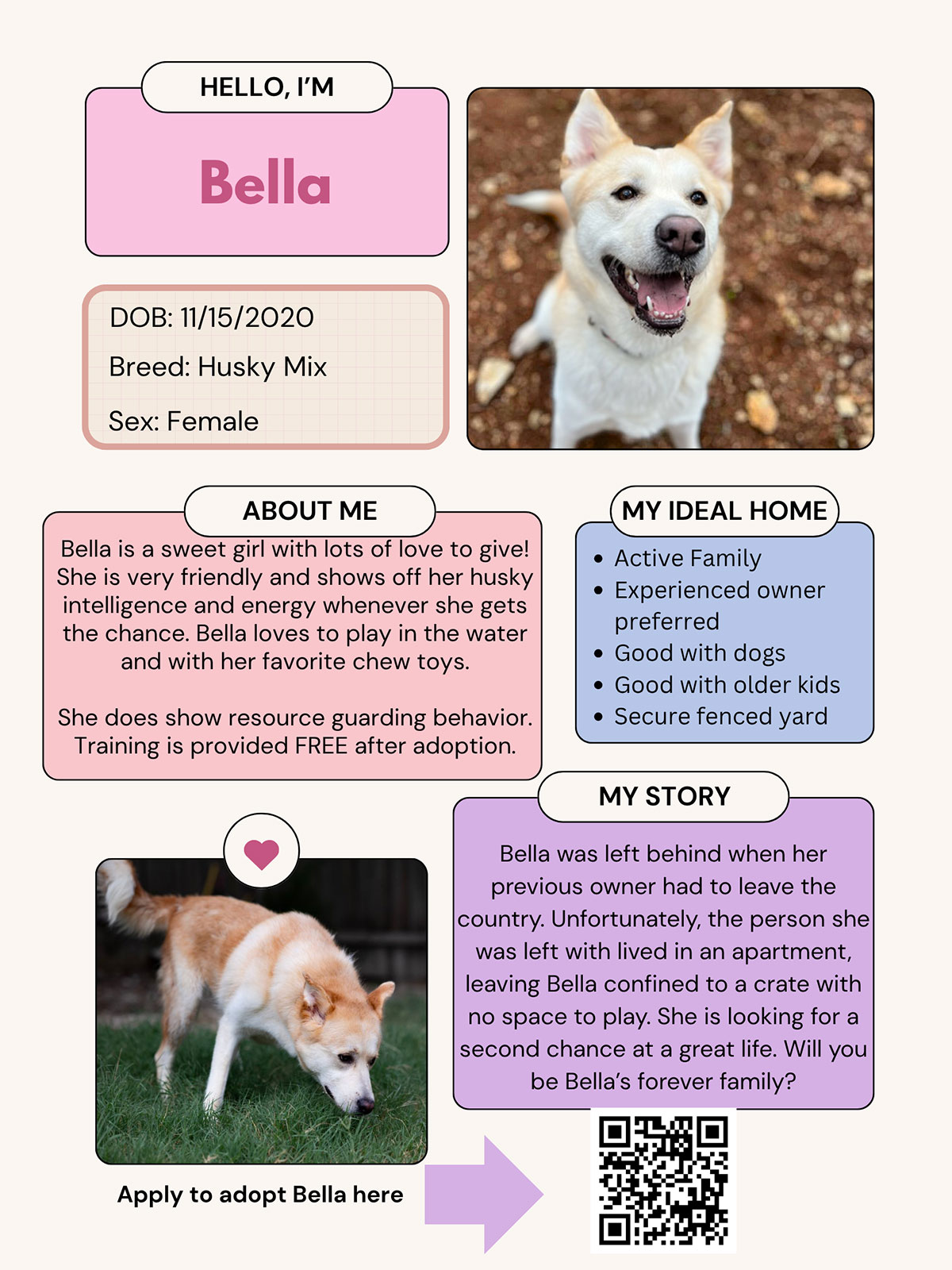Bella - Dog of the Month