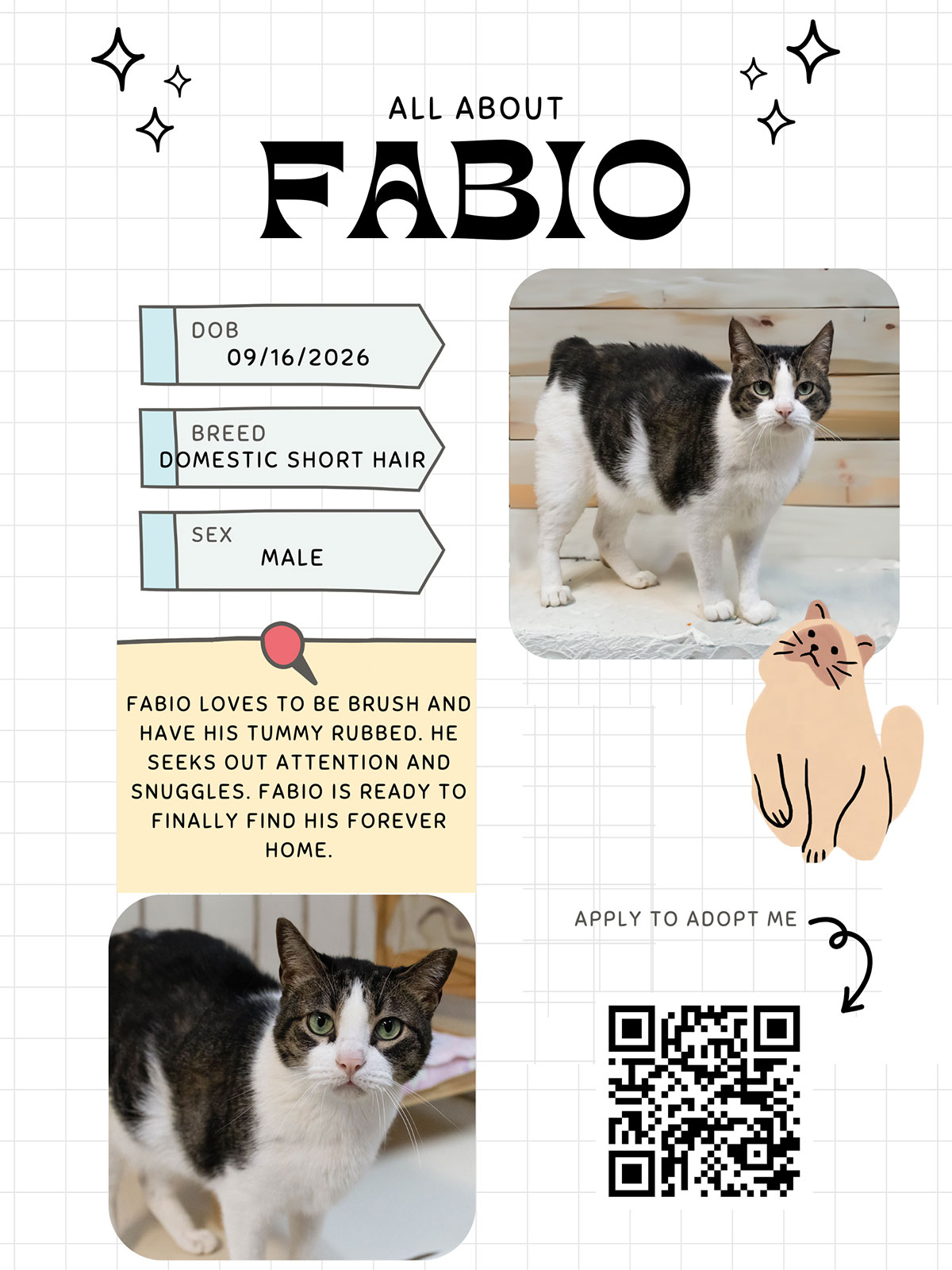 Cat of the Month - Fabio